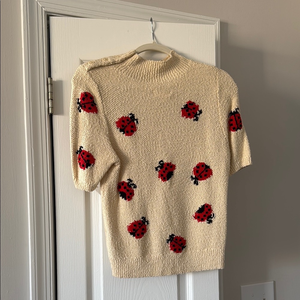 Maeve Cream Sweater with Red Ladybug Motif